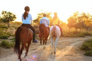 lifestyle management solutions