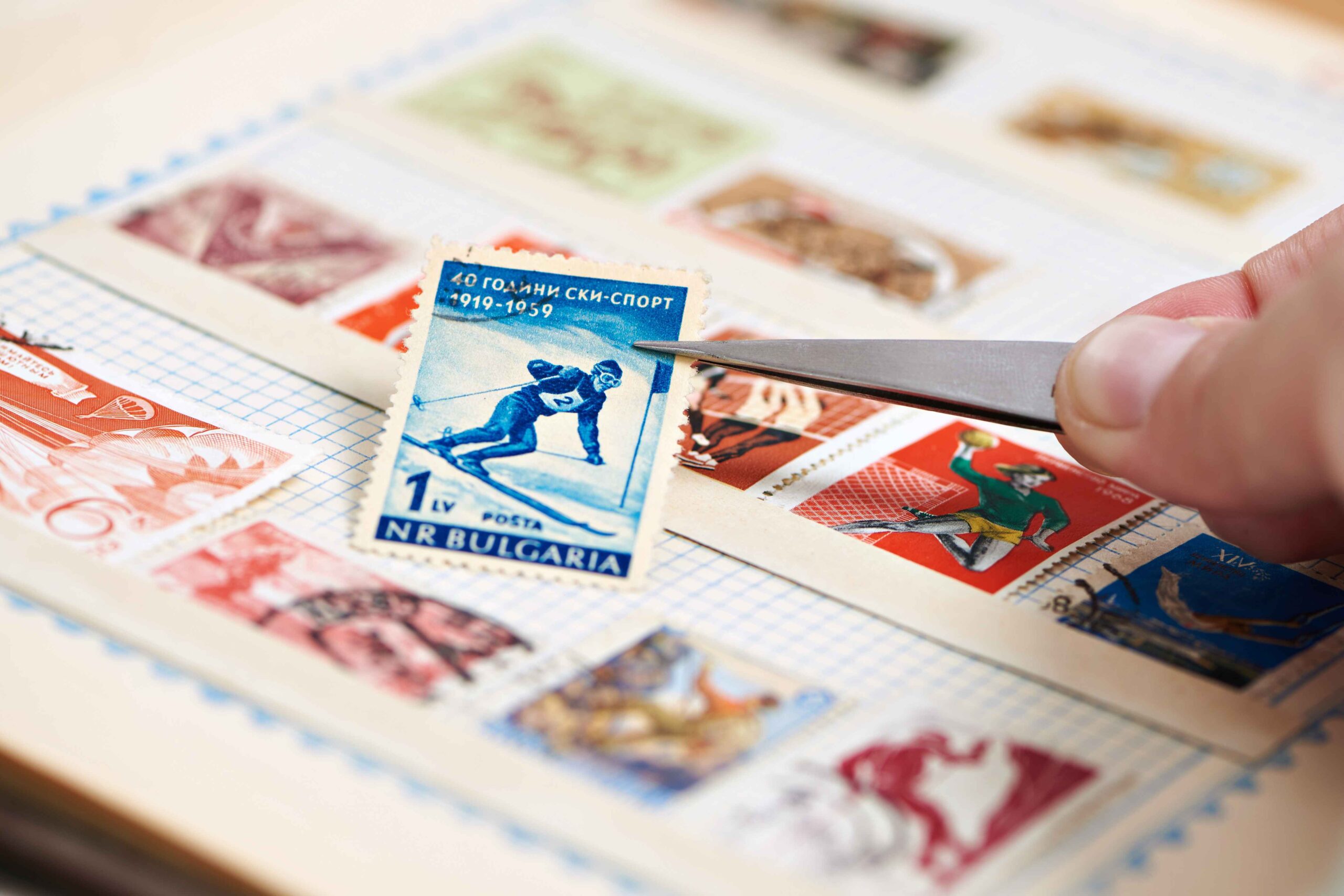 Read more about the article Digital Collectible Asset Management