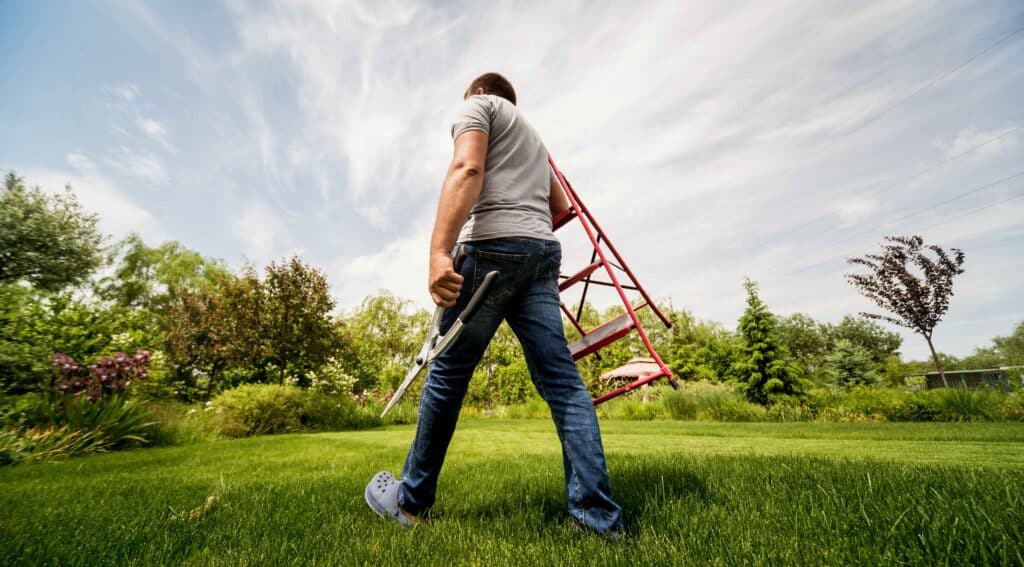 Read more about the article Seasonal Maintenance Checklist Estate Managers